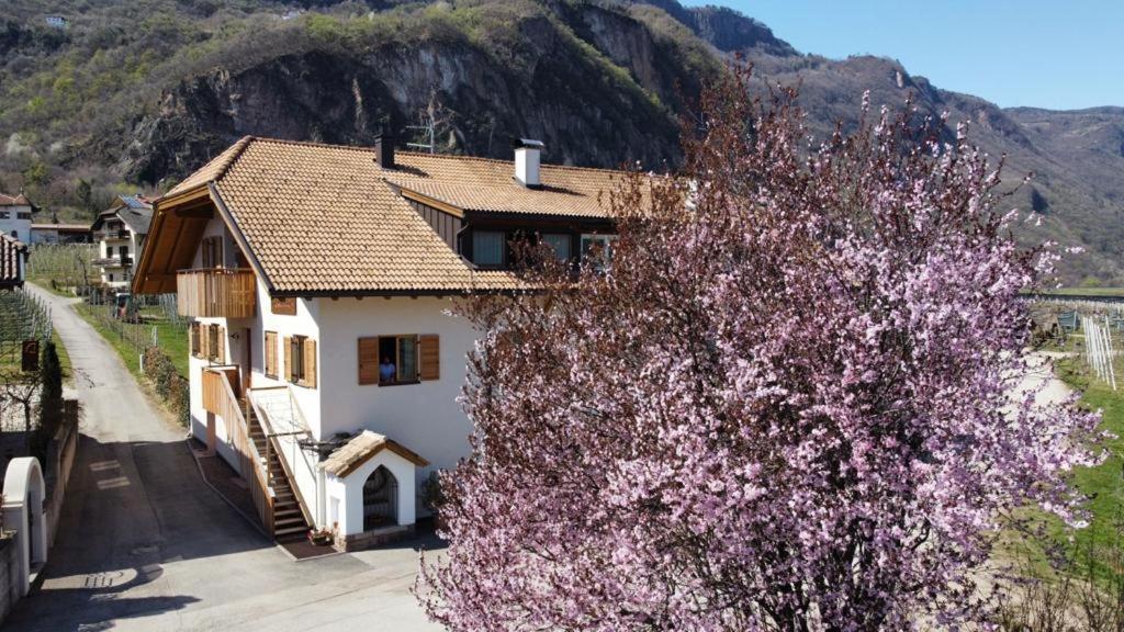 Versigglhof Eppan an der Weinstraße Exteriör bild