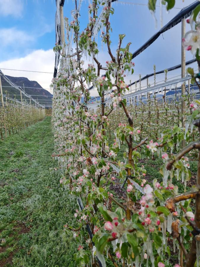 Versigglhof Eppan an der Weinstraße Exteriör bild