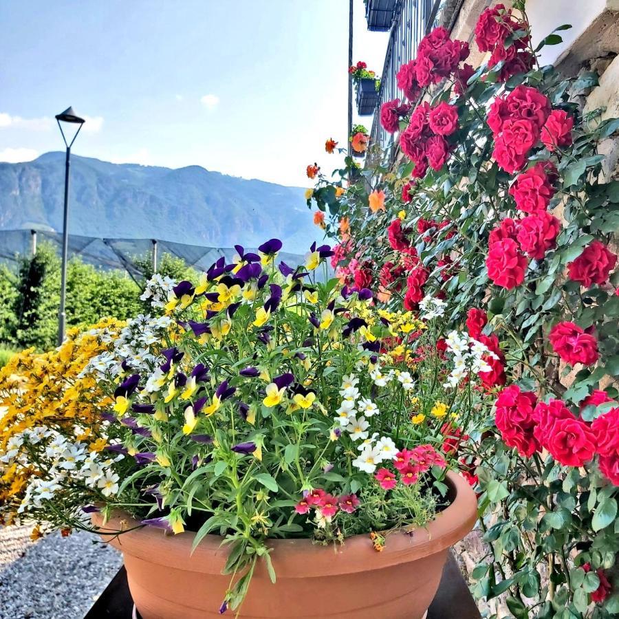 Versigglhof Eppan an der Weinstraße Exteriör bild