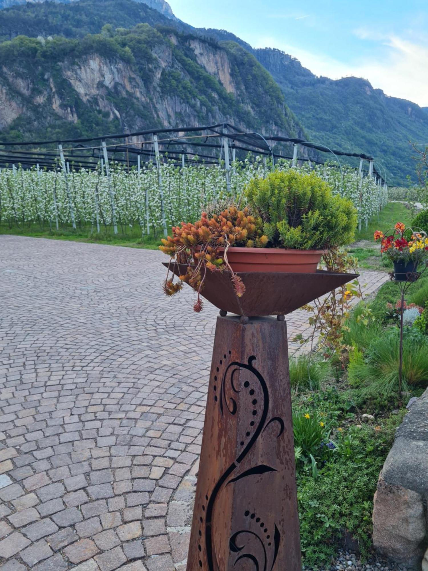 Versigglhof Eppan an der Weinstraße Exteriör bild