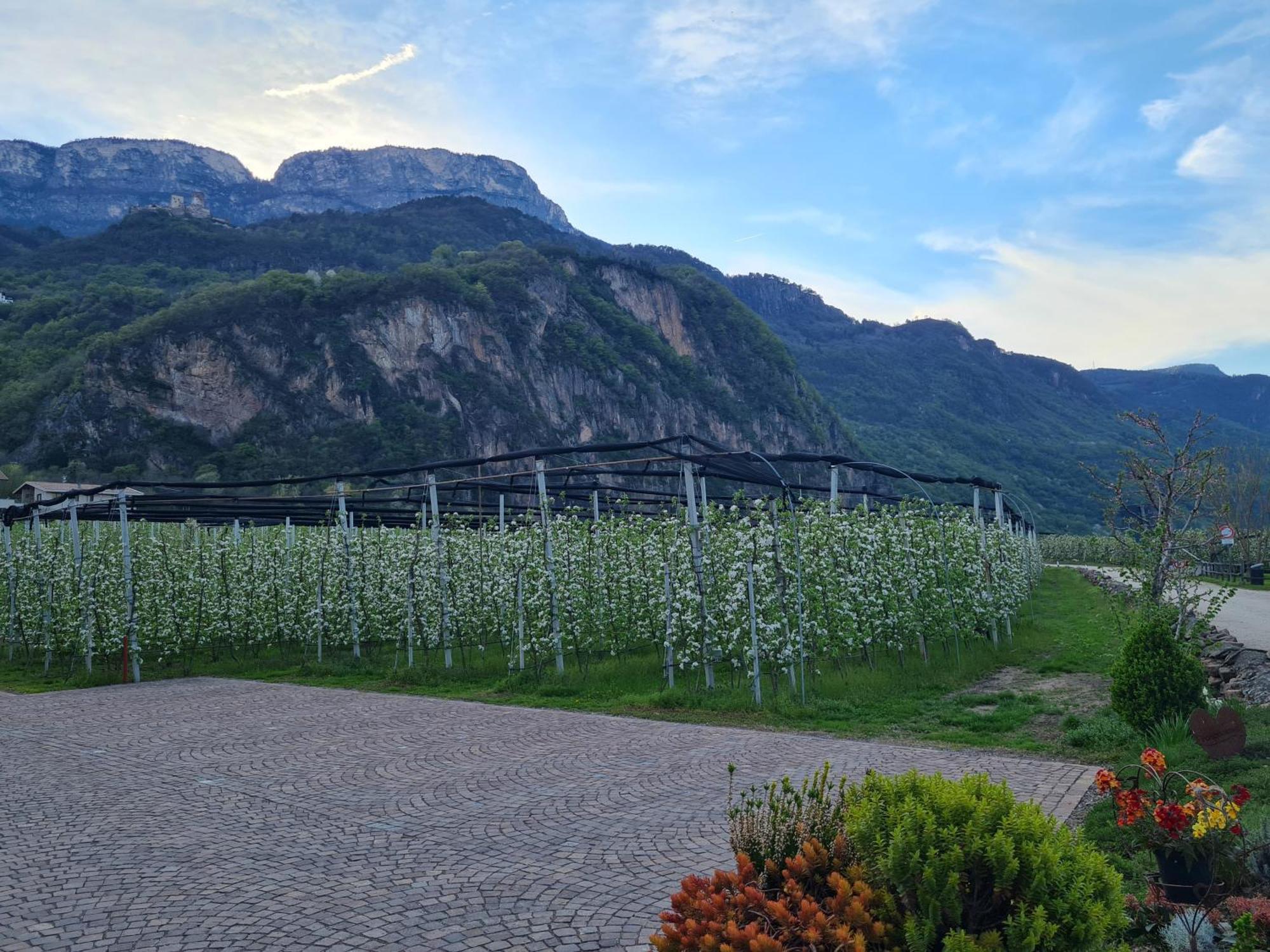 Versigglhof Eppan an der Weinstraße Exteriör bild