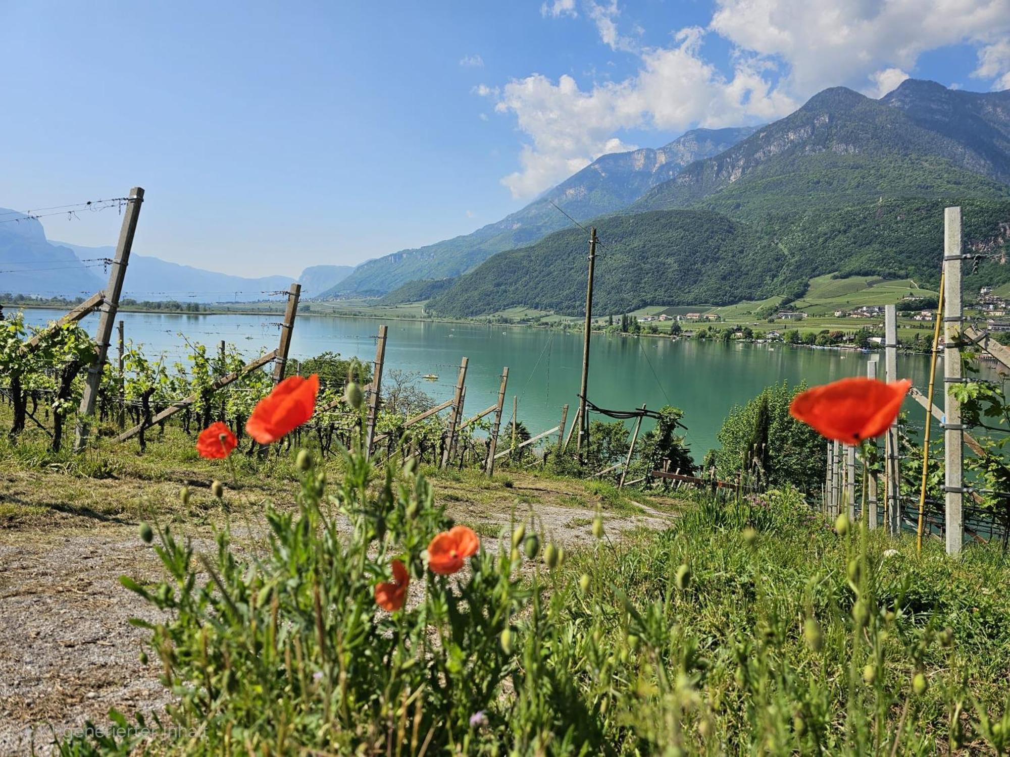 Versigglhof Eppan an der Weinstraße Exteriör bild